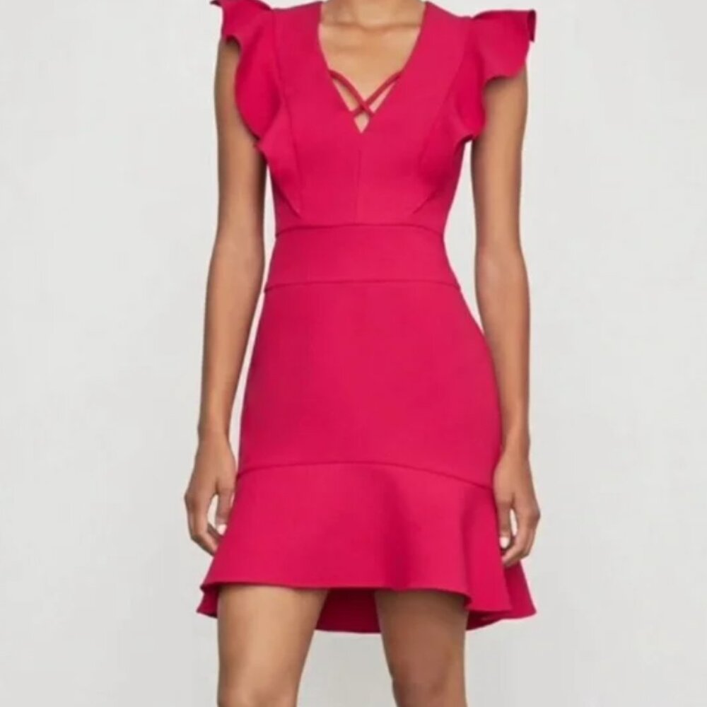 BCBGMAXARIA Reddish Fuchsia Dress (Size 8)